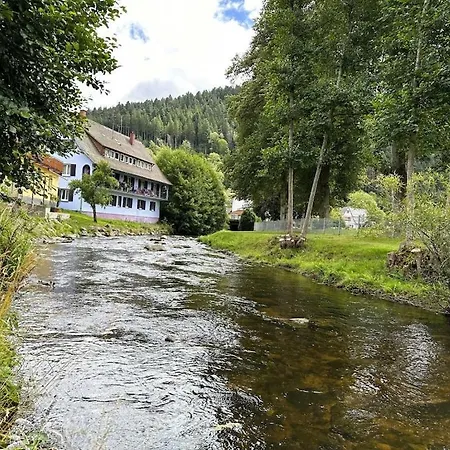بيت للعطل Dream Kinzig-chalet *